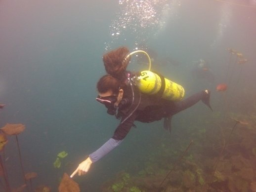 ATMEX scuba diving in laguna de la media luna